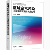 区域空气污染光学遥感观测技术及应用