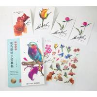 超写实的花鸟彩铅手绘教程