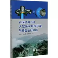 引汉济渭工程大型泵阀系统开发与安全运行集成