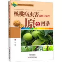核桃病虫害诊断与防控原色图谱/果树病虫害诊断与防控原色图谱丛书