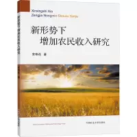 新形势下增加农民收入研究