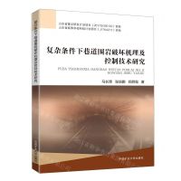 [N]复杂条件下巷道围岩破坏机理及控制技术研究-9787564648664