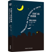 天使飞走的夜晚