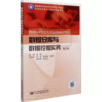 数据仓库与数据挖掘实务(第2版高等职业院校计算机类规划教材)
