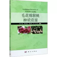 毛花猕猴桃种质资源