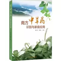 [M]南方中草药识别与家庭应用-9787554302927