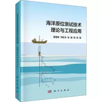 海洋原位测试技术理论与工程应用(精)