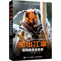 虫出江湖(别样的昆虫世界)