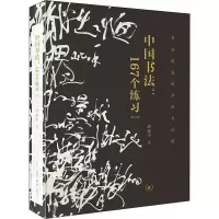 中国书法:167个练习:书法技法的分析与训练(增订本)