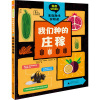 神秘岛 生态STEAM家庭趣味实验课 我们种的庄稼