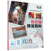 [N]色粉画技法百科-9787558616945