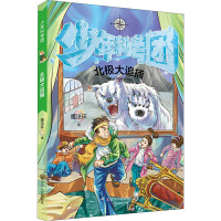 鹏辰正版少年科考团系列丛书4册 北极大追捕/被诅咒的楼屋/海陆大营救/寻找消失的渠勒国 儿童文学少年G0S91P