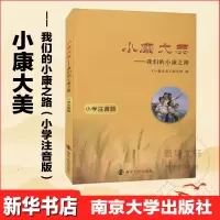 小康大美——我们的小康之路 小学注音版