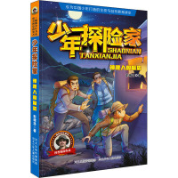 少年探险家:神秘人的偷袭