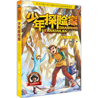 少年探险家:失踪的闯入者