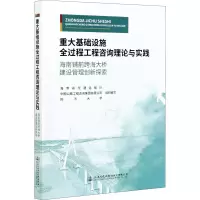 重大基础设施全过程工程咨询理论与实践