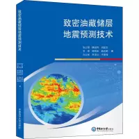 致密油藏储层地震预测技术