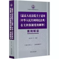 最高人民法院关于适用中华人民共和国民法典有关担保制度的解释案例解读/民法典司法解释案例解读丛书