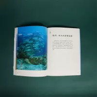 给孩子的中国国家地理:海疆·广袤蔚蓝色