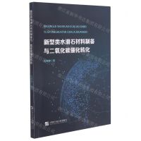 [N]新型类水滑石材料制备与二氧化碳催化转化-9787566127204