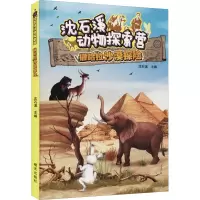 撒哈拉沙漠探险/沈石溪动物探索营