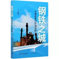 [N]钢铁之城(中塞企业合作协奏曲)-9787521325737