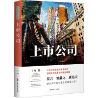 上市公司(中国专业作家作品典藏文库.丁力卷)