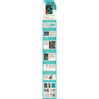 蕨类植物的秘密生活/自然文库