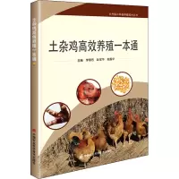 惠典正版正版 土杂鸡高效养殖一本通 畜牧养殖 9787511651334中国农业科学技术出版社351SM3