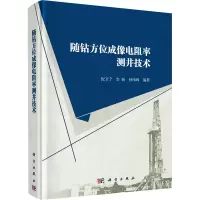 随钻方位成像电阻率测井技术(精)