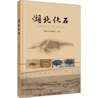 湖北化石(精)