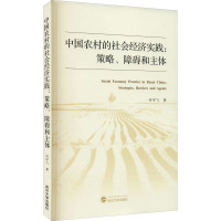 中国农村的社会经济实践:策略、障碍和主体