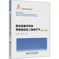氮化镓基半导体异质结构及二维电子气(精)/宽禁带半导体前沿丛书