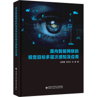 面向智能网联的视觉目标多层次感知及应用