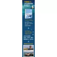 风筝是会飞的鱼
