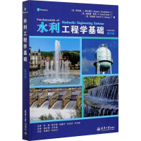 正版 皮囊新版果麦纪念版蔡崇达著正版韩寒监制李敬泽作序白岩松刘同蒋方舟推 荐随笔散文小说书119H正崇