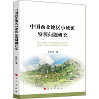 中国西北地区小城镇发展问题研究