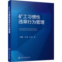 w矿工习惯性违章行为管理 习惯性违章行为形成演化机理治理介绍 耦合关系分析数据挖掘方法 习惯性违章行NAS7GF
