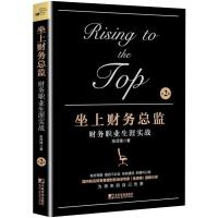 坐上财务总监:财务职业生涯实战(第二版)