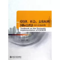 [M]《经济社会文化权利国际公约》国内实施读本-9787301181362