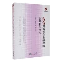 竞合对新创企业绩效的影响机制研究