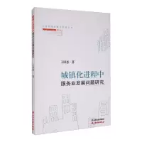 镇化进程中服务业发展问题研究