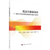 低品位能源利用——煤矿乏风瓦斯热逆流氧化理论与技术