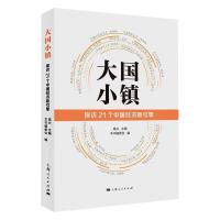 w大国小镇(探访21个中国经济新引擎) 高兴 主编 本书编委会 编 著 经济理论、法规 经济理论R4XM66