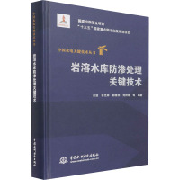 岩溶水库防渗处理关键技术(中国水电关键技术丛书)
