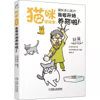 猫咪咨询室:我要开始养猫啦!