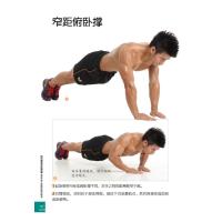 肌肉健美训练图解——适合中国人体质的肌肉训练书