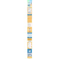 让孩子受益一生的大脑开发课:如何科学有效地激发孩子大脑潜能