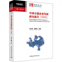 中国小微企业发展研究报告(2020)