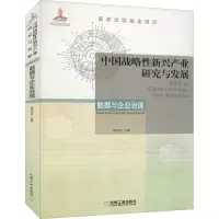 中国战略性新兴产业研究与发展(数据与企业治理)